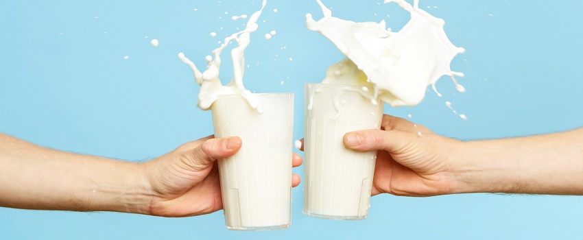 Tipuri de lapte şi caracteristicile lor